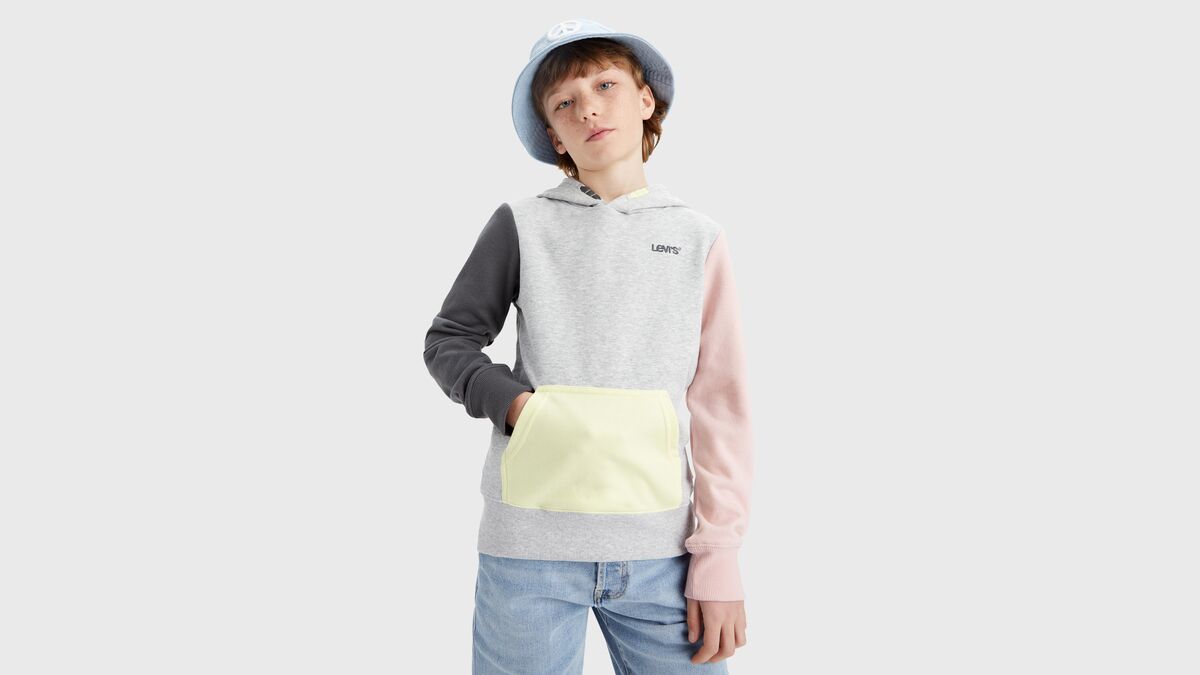 Levi's hoodie online colorblock